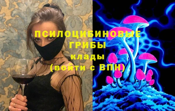 Альфа ПВП Арсеньев