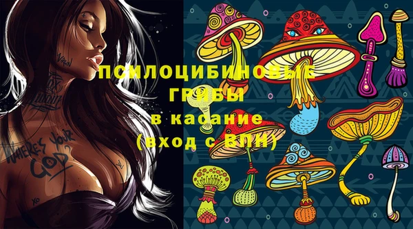 эйфоретик Аркадак