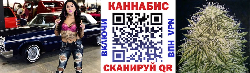 как найти закладки  Белгород  ссылка на мегу   Бошки марихуана сатива 